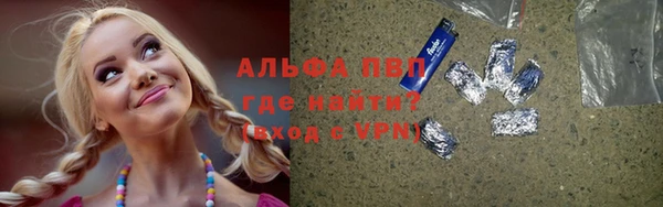 сатива Куйбышев