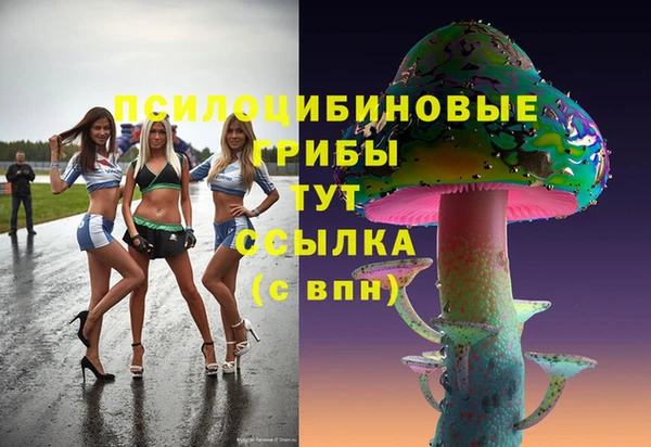 сатива Куйбышев