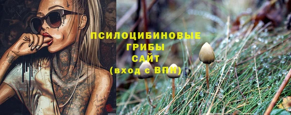 МДПВ Кукмор