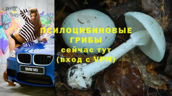 сатива Куйбышев