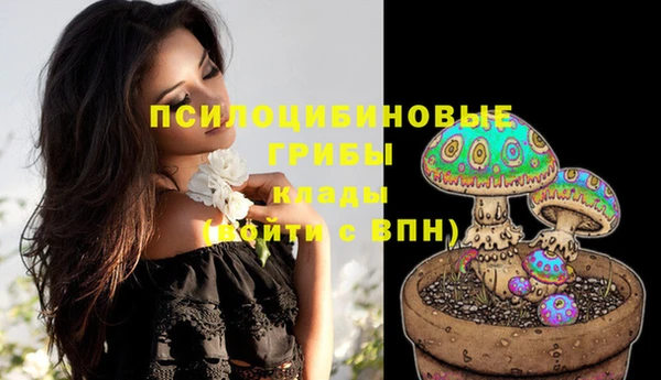 МДПВ Кукмор