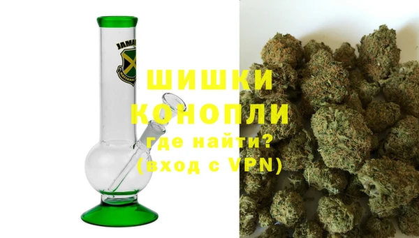 сатива Куйбышев