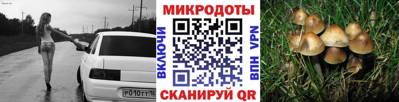 купить  цена  гидра как войти  Галлюциногенные грибы мицелий  Мураши 